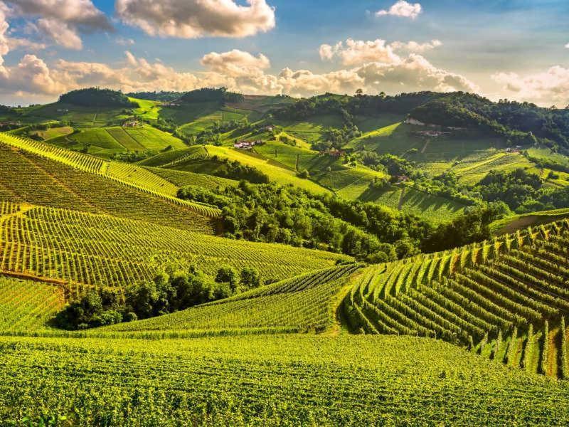 L'Orchidhea Apartment Savigliano Eksteriør bilde